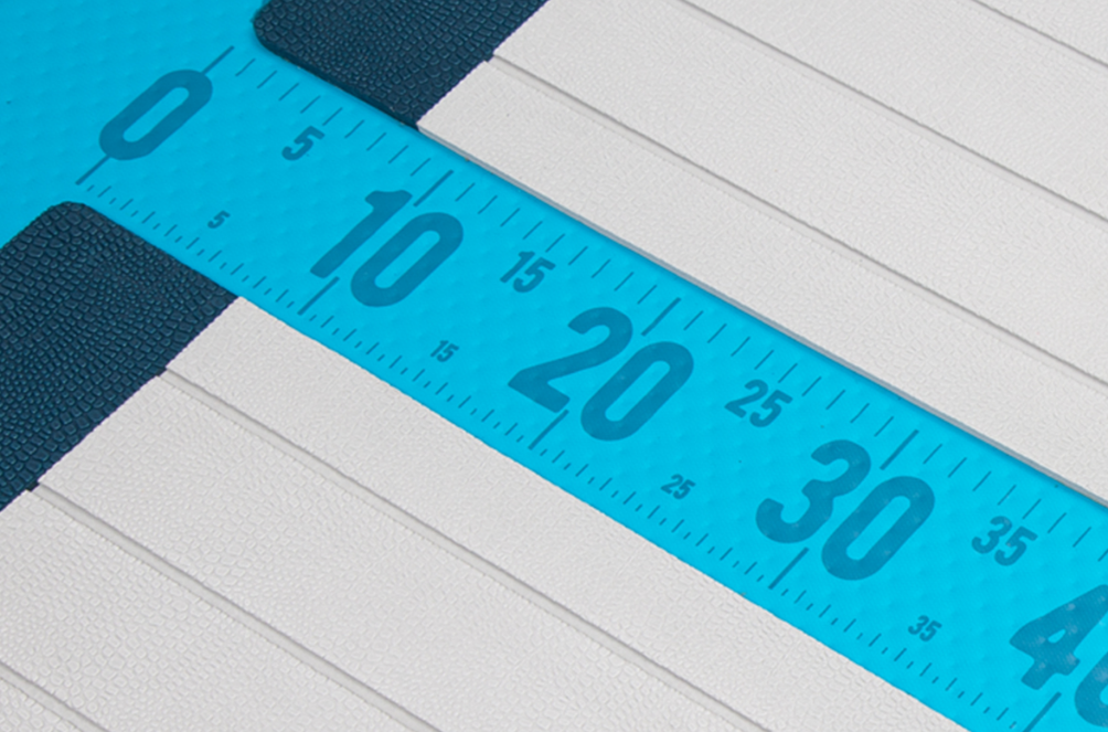 FISH RULER